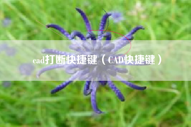 cad打断快捷键（CAD快捷键）