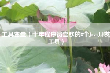 工具变量（十年程序员喜欢的8个Java开发工具）