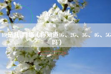 lte是几g网络（你知道1G、2G、3G、4G、5G吗）