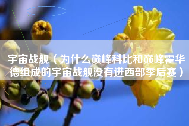 宇宙战舰（为什么巅峰科比和巅峰霍华德组成的宇宙战舰没有进西部季后赛）