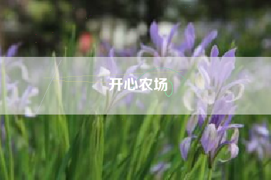 开心农场