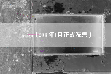 weixn（2018年1月正式发售）