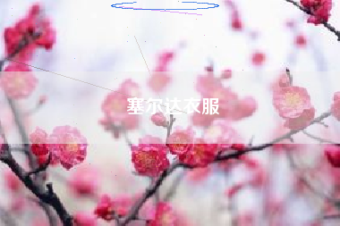 塞尔达衣服