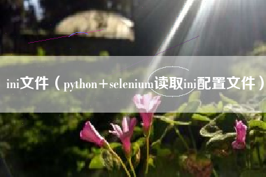 ini文件（python+selenium读取ini配置文件）