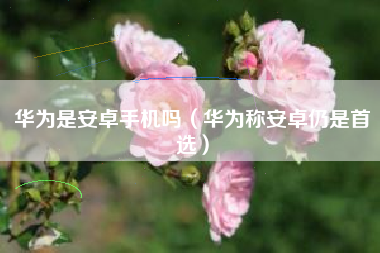 华为是安卓手机吗（华为称安卓仍是首选）
