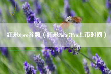 红米6pro参数（红米Note7Pro上市时间）