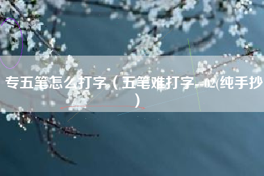 专五笔怎么打字（五笔难打字--02(纯手抄）