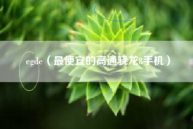 egde（最便宜的高通骁龙8手机）