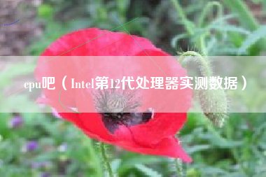 cpu吧（Intel第12代处理器实测数据）