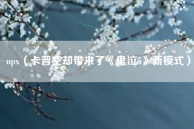 npx（卡普空却带来了《鬼泣5》新模式）
