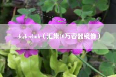 dockerhub（汇集10万容器镜像）