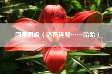阿里职级（诸葛连弩……哈哈）