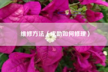 维修方法（求助如何修理）