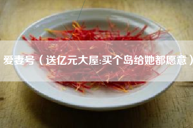 爱妻号（送亿元大屋:买个岛给她都愿意）