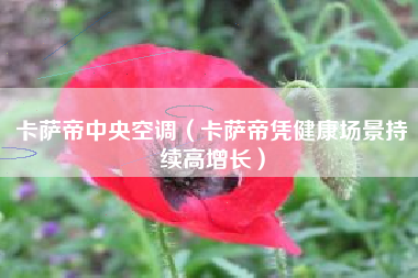 卡萨帝中央空调（卡萨帝凭健康场景持续高增长）