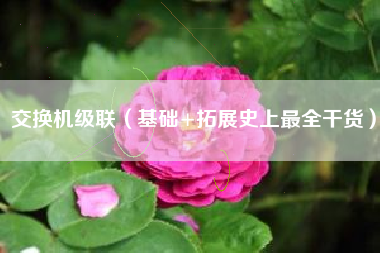 交换机级联（基础+拓展史上最全干货）