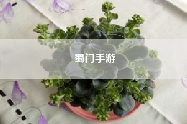 蜀门手游