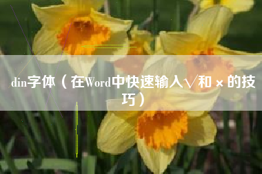 din字体（在Word中快速输入√和×的技巧）