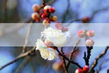 完美的一天