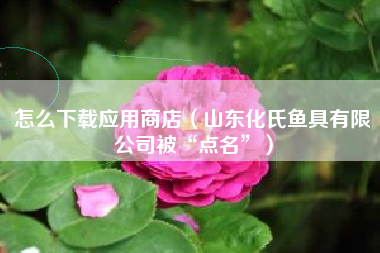 怎么下载应用商店（山东化氏鱼具有限公司被“点名”）