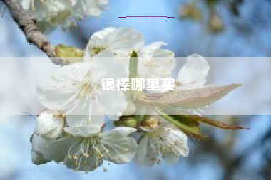 银棒哪里买