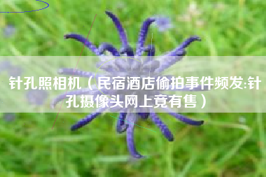 针孔照相机（民宿酒店偷拍事件频发:针孔摄像头网上竟有售）
