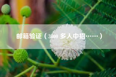 邮箱验证（3000 多人中招……）