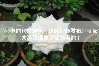 5号电池尺寸规格（亿纬锂能发布560Ah超大容量锂离子储能电池）