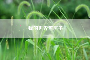 我的世界盖房子
