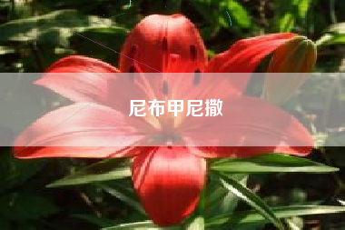 尼布甲尼撒