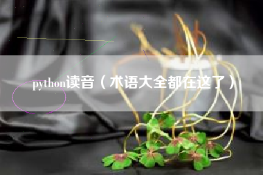 python读音（术语大全都在这了）