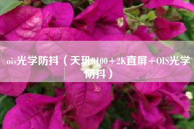 ois光学防抖（天玑8100+2K直屏+OIS光学防抖）
