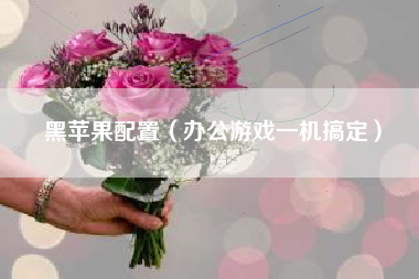 黑苹果配置（办公游戏一机搞定）