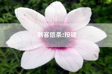 刺客信条2按键