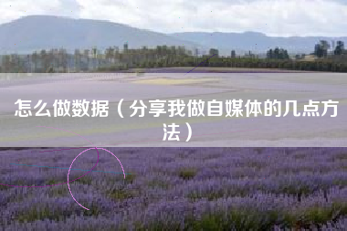 怎么做数据（分享我做自媒体的几点方法）