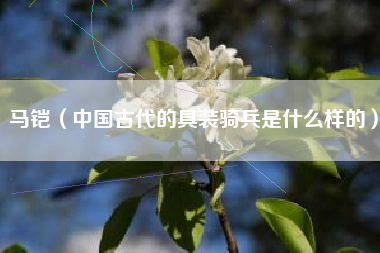马铠（中国古代的具装骑兵是什么样的）