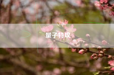 量子特攻