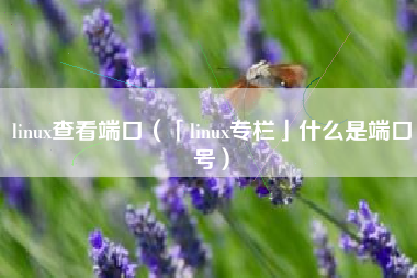 linux查看端口（「linux专栏」什么是端口号）