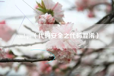 xmlspy（代码安全之代码混淆）