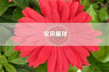 宝贝星球