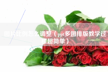 图片比例怎么调整（ppt多图排版教学过程超简单）