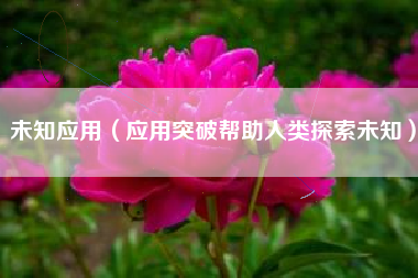 未知应用（应用突破帮助人类探索未知）