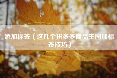 添加标签（这几个拼多多商品主图加标签技巧）