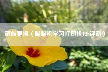 硒鼓更换（喵喵机学习打印机F2S评测）