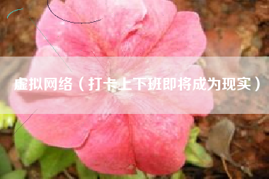 虚拟网络（打卡上下班即将成为现实）
