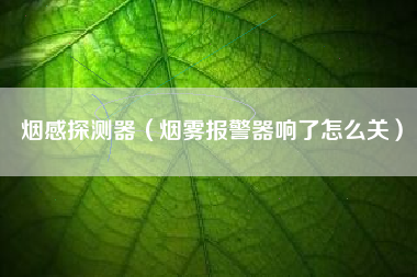 烟感探测器（烟雾报警器响了怎么关）