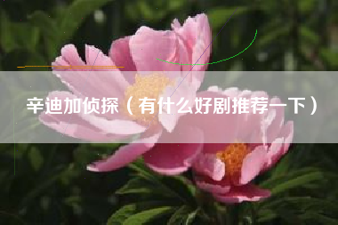 辛迪加侦探（有什么好剧推荐一下）