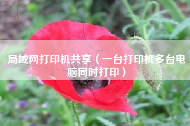 局域网打印机共享（一台打印机多台电脑同时打印）