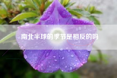 南北半球的季节是相反的吗
