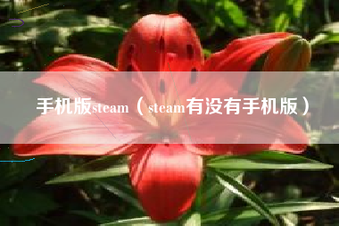手机版steam（steam有没有手机版）